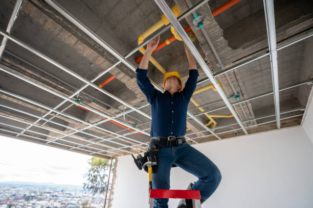 Best Same-Day Plumbing Service  in Vernon, AL
